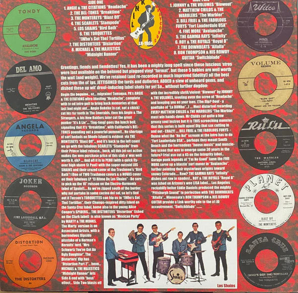 VARIOUS, Strummin' Mental! Volume One (Real Gone Instrumental R&R And Surf: 1958-1966) (Link Wraycords; LW-1961, US 2006) LP VG+/VG+ - Image 2