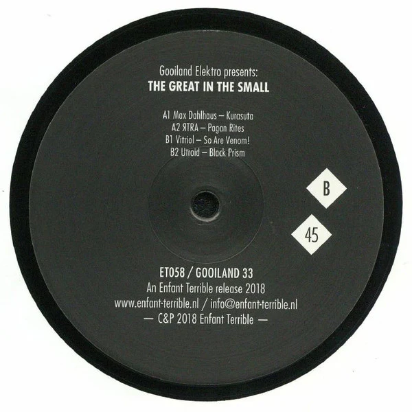 VARIOUS, The Great In The Small (Gooiland Elektro; Gooiland 33, Netherlands 2018, Picture Sleeve, Insert), SALE - Up to 50% Off the Original Price  12" VG+/VG+ - Image 2