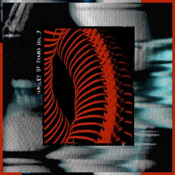 VARIOUS, Valley Of Tears Vol. 3 (Soil Records; SOIL012, Spain 2021, Textured Picture Sleeve, Sticker), SALE - Up to 50% Off the Original Price  12" VG/EX