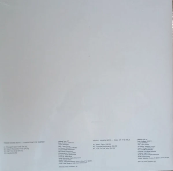 VIAGRA BOYS, Consistency of Energy / Call Of The Wild (YEAR0001; YR06821LP, UK 2025, Inner), SALE - Up to 50% Off the Original Price 12" EP NEW/NEW - Image 2