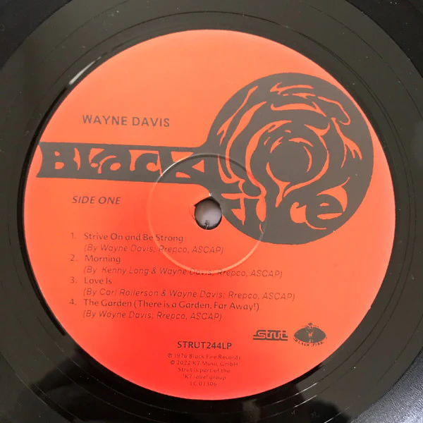 WAYNE DAVIS, Wayne Davis (Strut ; STRUT244LP, Worldwide 2022 Reissue) LP VG/VG+ - Image 2