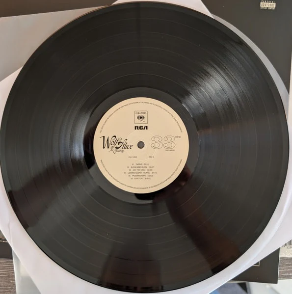 WOLF ALICE, The Clearing (Columbia; 19802909901, Worldwide 2025, Booklet, Poster) LP NEW/NEW - Image 3