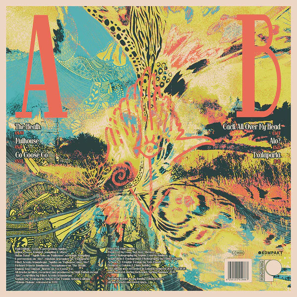 Y B LB L, Fever (Pingipung; Pingipung 072, Germany 2020), SALE - Up to 50% Off the Original Price LP VG+/VG+ - Image 2