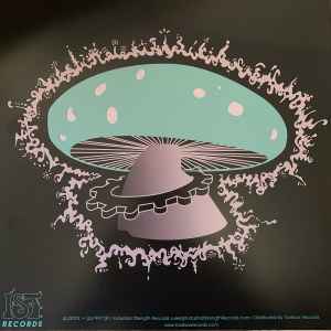 ZENITH, A Journey Into My Hallucination (IST Records; IST020 RP, US 2023 Reissue) 12" VG+/VG+ - Image 2